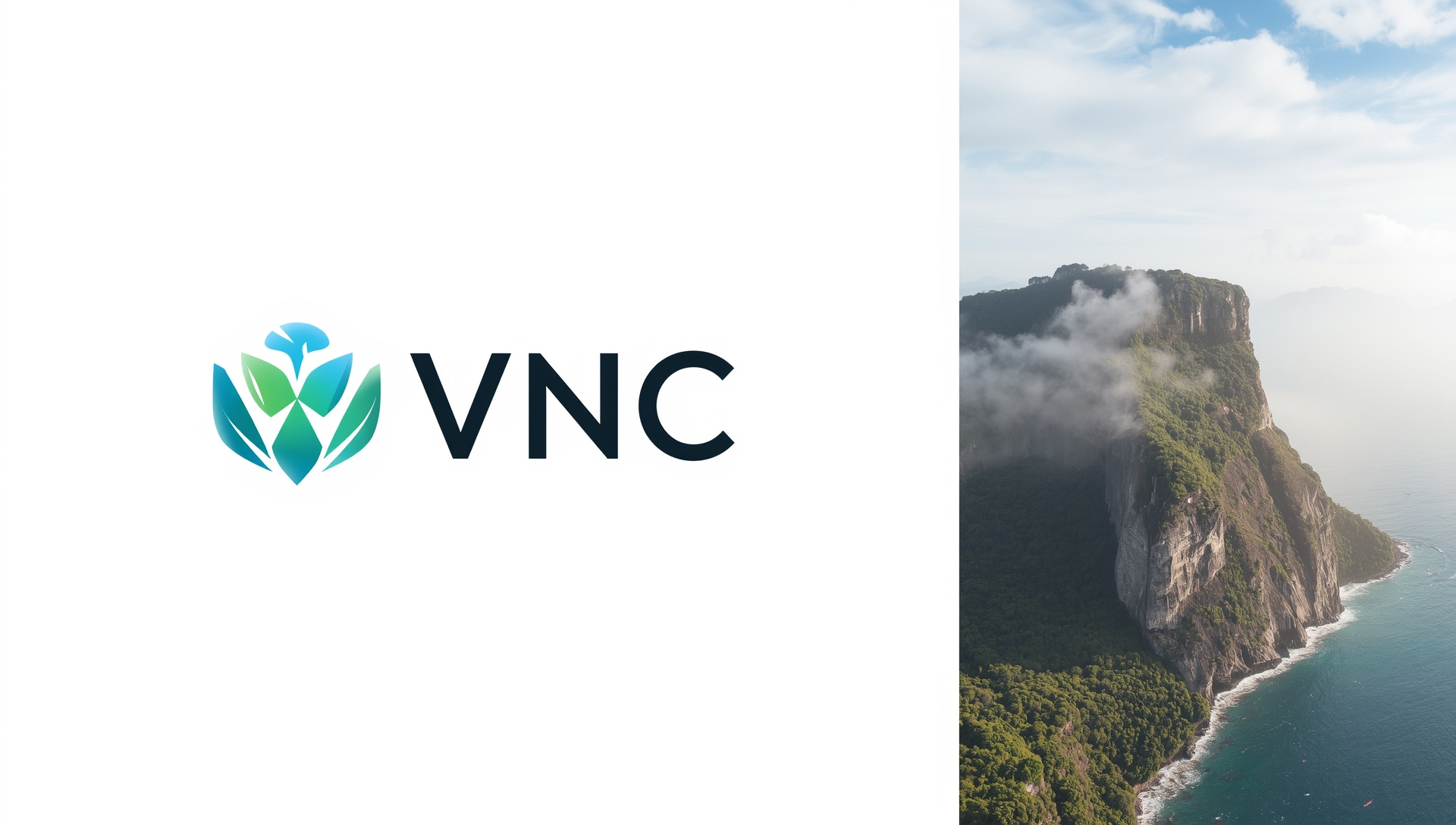 vncjavoei.com